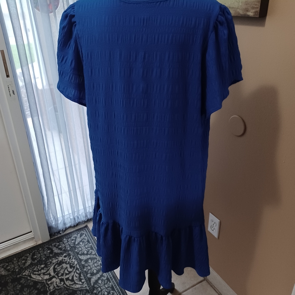 🌟 3 For $15!!  Shein Gauzy petal sleeve dress Red Or Blue - Picture 2 of 8